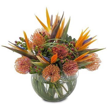 Bal Harbour Flowers - Fireworks! for your dinner table. - Florists Near Me - Surfside, Florida Bal Harbour Flowers - Fireworks! for your dinner table. - Florists Near Me - Surfside, Florida