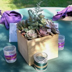 Top 10 Best Hydroponic Grow Stores In Stockton Ca Last Updated November 2020 Yelp