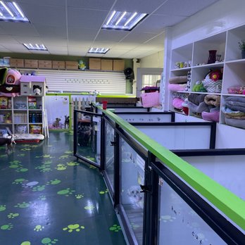 Puppy & I - So cute. This place so many nice ajuma. Great price and tr - Pet Groomers Near Me - Los Angeles, California
