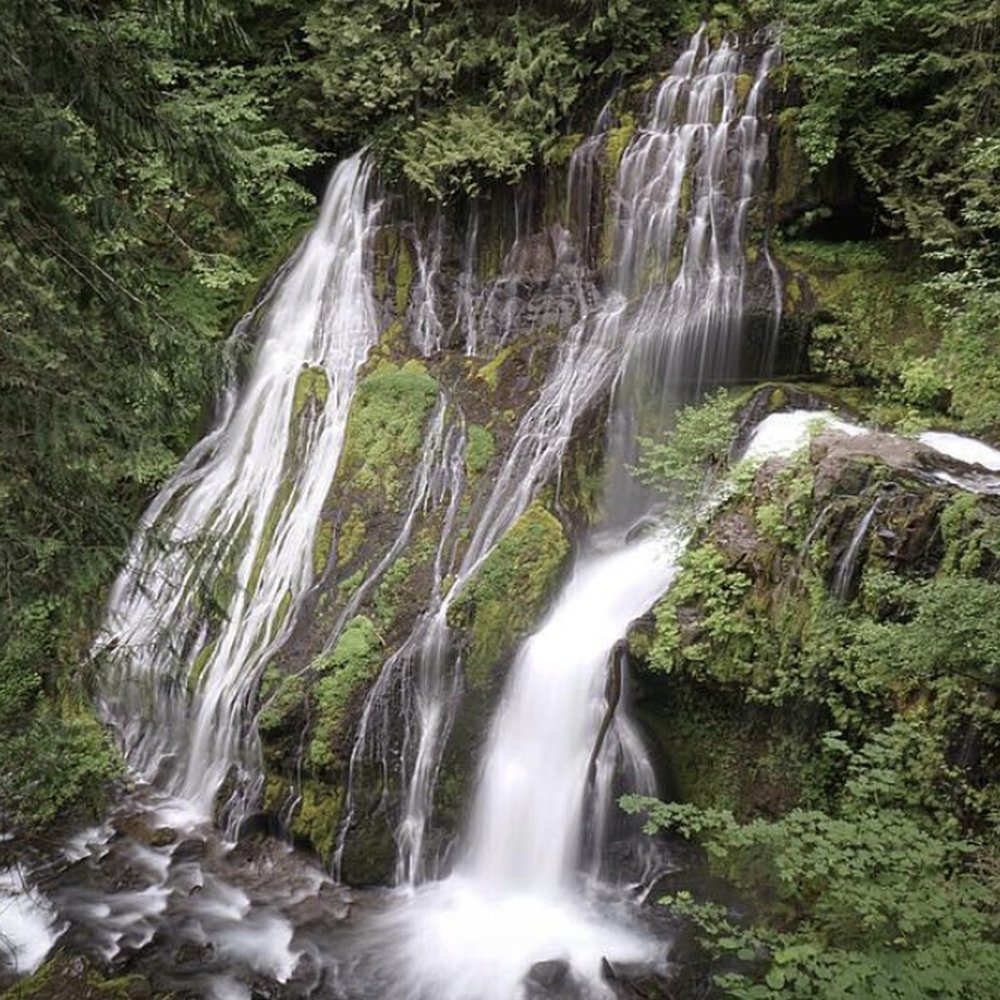 Panther Creek Falls - panther creek falls view from the platform - Hiking Near Me - Carson, Washington Panther Creek Falls - panther creek falls view from the platform - Hiking Near Me - Carson, Washington