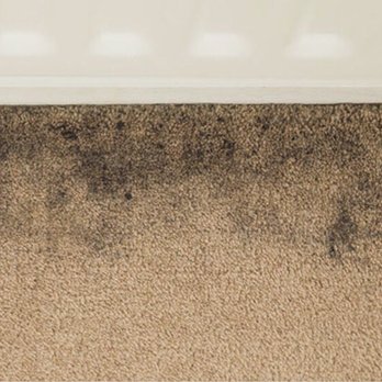 West Coast Carpet Care - This was not there before - Carpet Cleaning Near Me - San Jose, California West Coast Carpet Care - This was not there before - Carpet Cleaning Near Me - San Jose, California