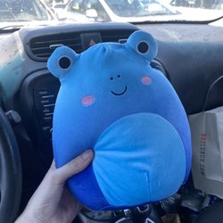 Boxlunch - Alandy the blue frog squishmallow