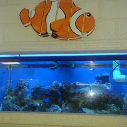 A Tropical Reef - Relaxing and watching fish, and I'm still dry :-)