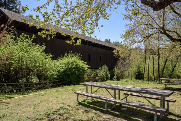 Felton Covered Bridge by null