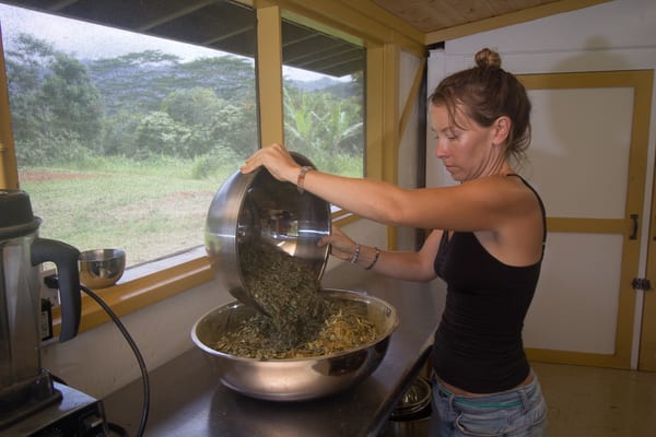 Kauai Farmacy by null