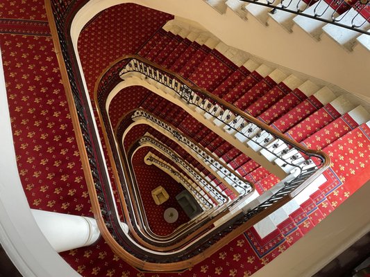 Hotel Carlton by null