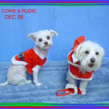 canine cottage boarding