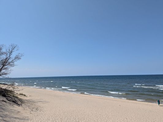 Rosy Mound Natural Area by null