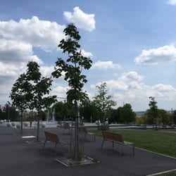 Malešický park - Stromy