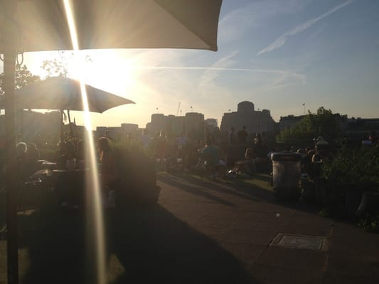Queen Elizabeth Hall Roof Garden by null