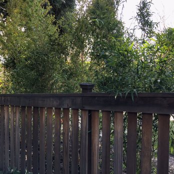 Jungle Bamboo & Palm Nursery - From outside - Nurseries & Gardening Near Me - Cotati, California Jungle Bamboo & Palm Nursery - From outside - Nurseries & Gardening Near Me - Cotati, California