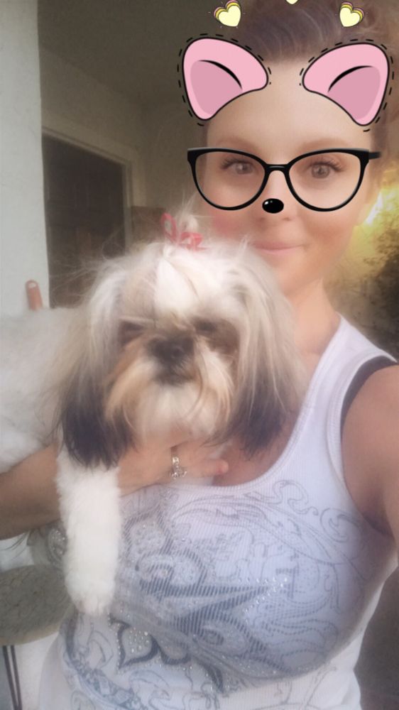 MONICA’S MOBILE PET CARE & GROOMING 14 Photos & 21 Reviews Lodi, CA Yelp