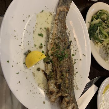 Taverna Kyma - Greek Near Me - Boca Raton, Florida Taverna Kyma - Greek Near Me - Boca Raton, Florida