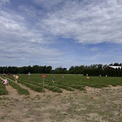 Hand Melon Farm - Field entrance