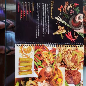 TIE Thai Restaurant - Menu pics - Thai Near Me - Midlothian, Texas