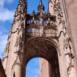 Albi