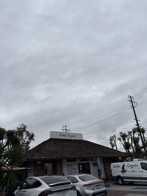 Little Coyote by null