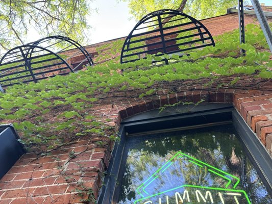 Sweeney's Saloon by null