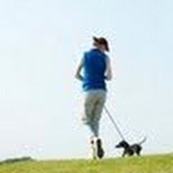 Vero Beach Pet Sitters Image