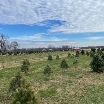 Jay's Tree Farm - Christmas Trees Near Me - Mooresville, Indiana Jay's Tree Farm - Christmas Trees Near Me - Mooresville, Indiana