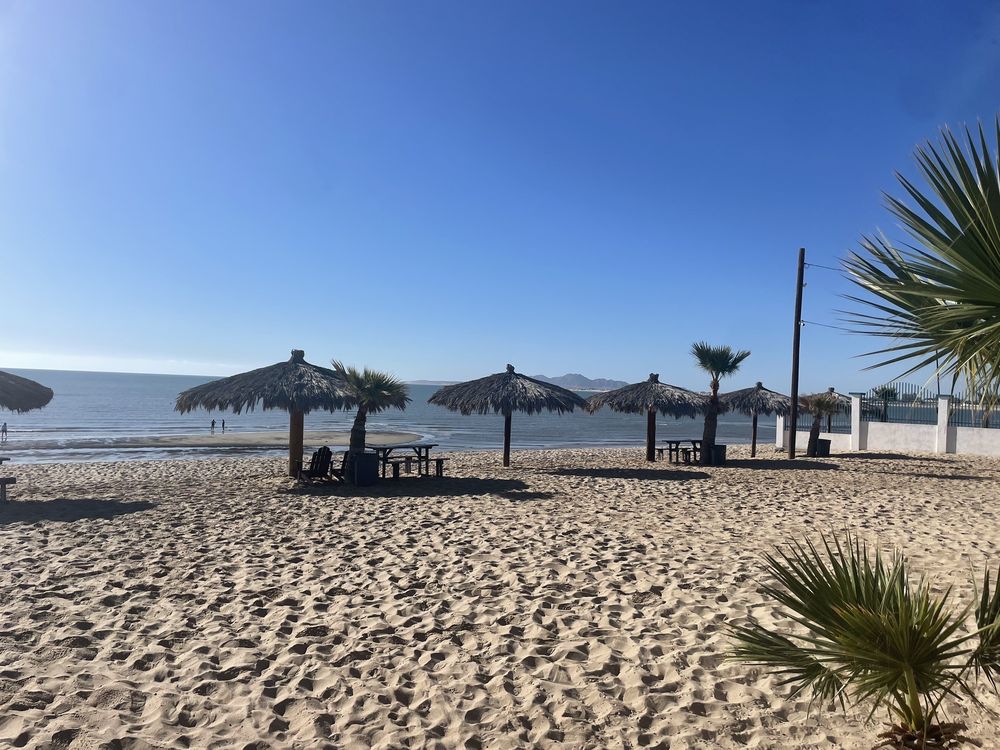 Stella del Mar