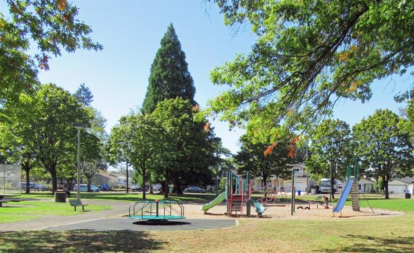 Glenwood Park by null