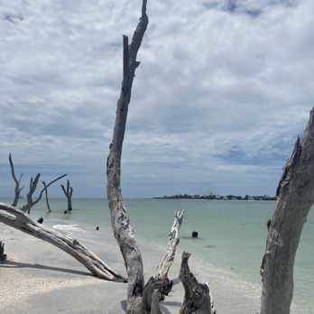Adventures In Paradise - Boating Near Me - Fort Myers, Florida