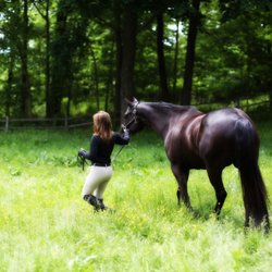 Rivendell Farm - Beautiful Zephyr