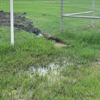 Curly's Plumbing - Thank you Curly's for making my yard a swamp. - Plumbing Near Me - Fort Worth, Texas Curly's Plumbing - Thank you Curly's for making my yard a swamp. - Plumbing Near Me - Fort Worth, Texas