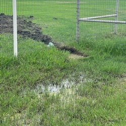 Curly's Plumbing - Thank you Curly's for making my yard a swamp.