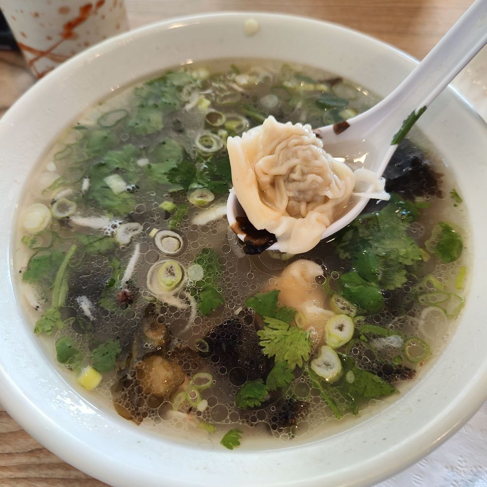 Wonderful Hand Pulled Noodle - Wonton soup - Noodles Near Me - Orlando, Florida Wonderful Hand Pulled Noodle - Wonton soup - Noodles Near Me - Orlando, Florida