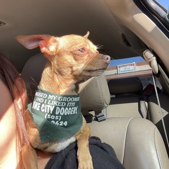 Duke City Doggery - Pet Stores Near Me - Albuquerque, New Mexico