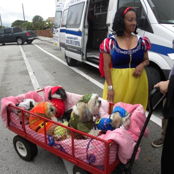 Paws On the Avenue - Snow White and her 7 (yes count them...) little dwarfs... - Pet Training Near Me - Worth Beach, Florida Paws On the Avenue - Snow White and her 7 (yes count them...) little dwarfs... - Pet Training Near Me - Worth Beach, Florida