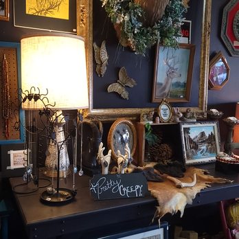 The Downtown Oddity Parlor - Animal wall decor - Home Decor Near Me - Greeley, Colorado The Downtown Oddity Parlor - Animal wall decor - Home Decor Near Me - Greeley, Colorado