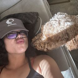 Lakewood Optometry - Glasses are puppy proof