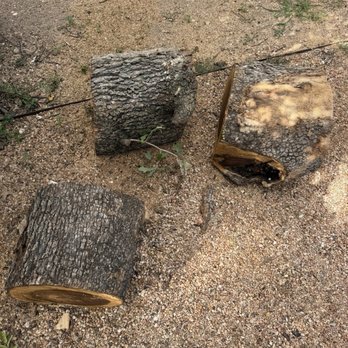 Carlo’s Tree Service - Cut logs - Tree Services Near Me - Austin, Texas Carlo’s Tree Service - Cut logs - Tree Services Near Me - Austin, Texas