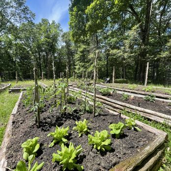 Round House Stays - Veggie garden - Vacation Rentals Near Me