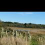 Photo of Moosehorn National Wildlife Refuge