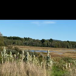 Moosehorn National Wildlife Refuge
