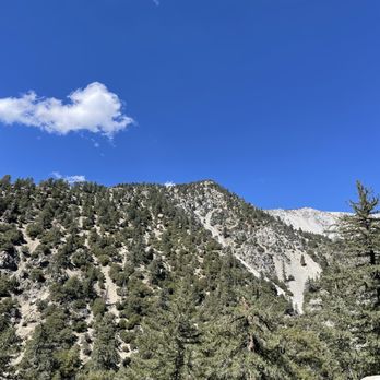 Old Mt. Baldy Trail - Hiking Near Me - Mount Baldy, California