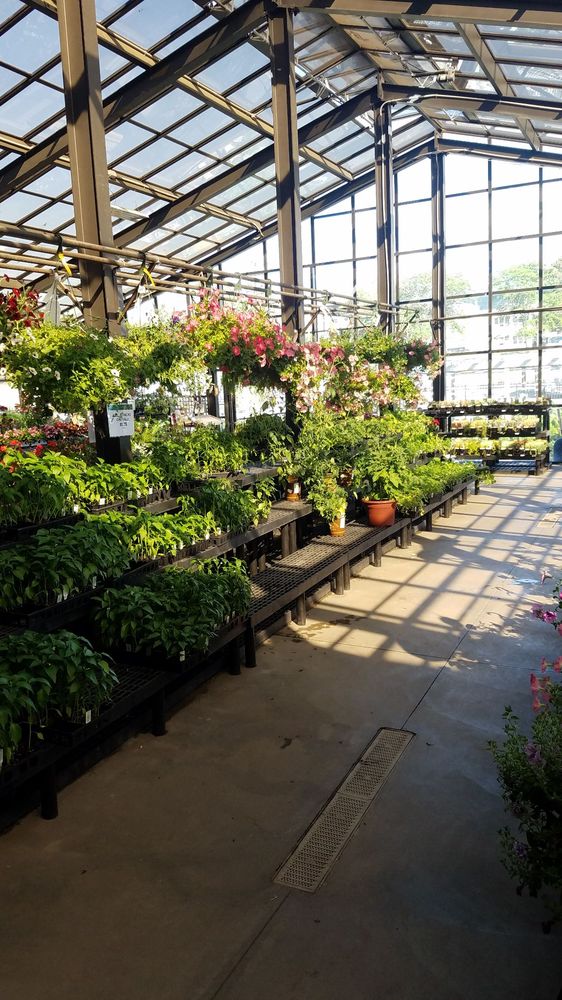 KELLEY FARM & GARDEN AGWAY TRUE VALUE 239 W Main St, Cobleskill, New York Nurseries