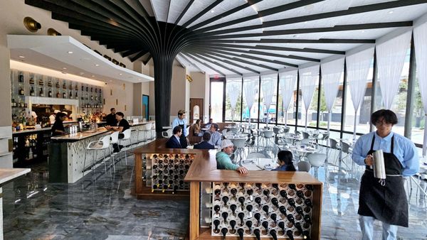 MF Lobster & Ceviche by null