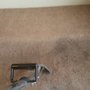 Photo of True Clean Carpet & Tile Care