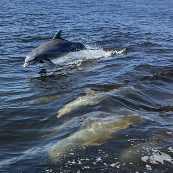 King Fisher Fleet - Boating Near Me - Punta Gorda, Florida