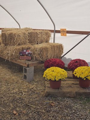 Bushue's Family Farm by null
