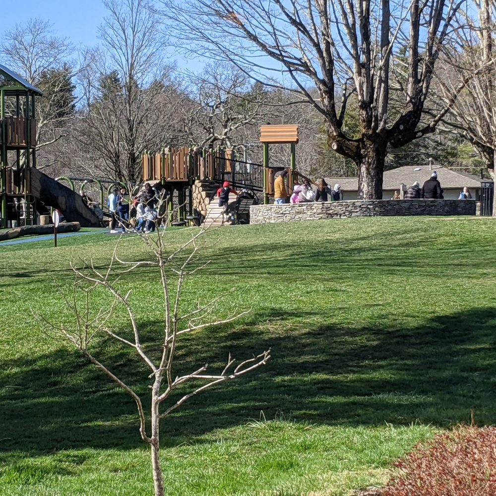 Memorial Park