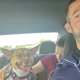 Zoe happy on her ride home :) Zoe happy on her ride home :)