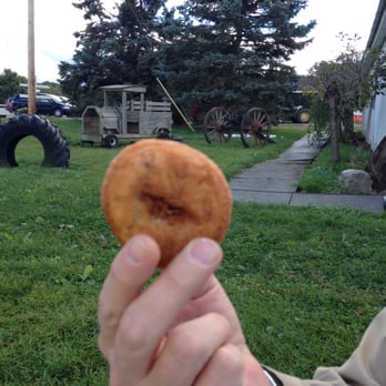 Almar Orchards - Delicious! This time around, plain Apple. - Organic Stores Near Me - Flushing, Michigan