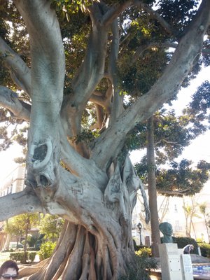 Baluarte de la Candelaria by null