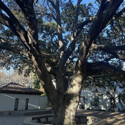 Center For Spiritual Enlightenment